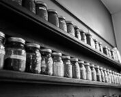 Jars of preserved food