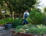 Chef peter inspecting the gardens