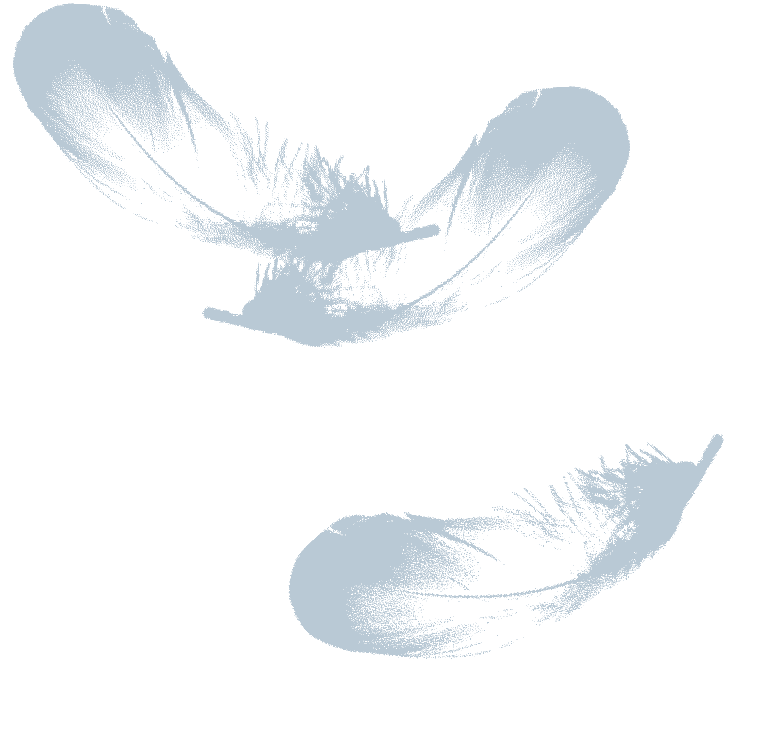 Plumed Horse Logo