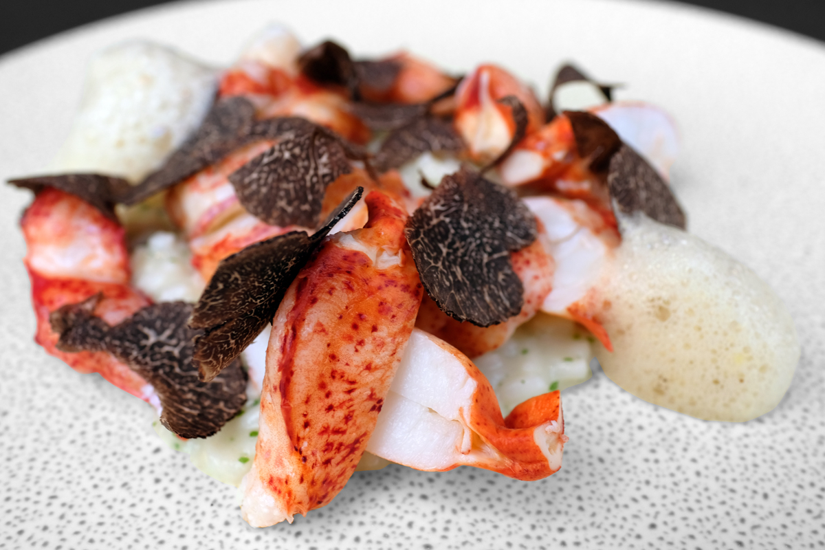 Lobster_color Plated Food