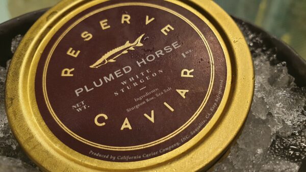 Plumed Horse Reserve Caviar (1 oz)